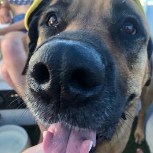 Meet your Posher, Renee